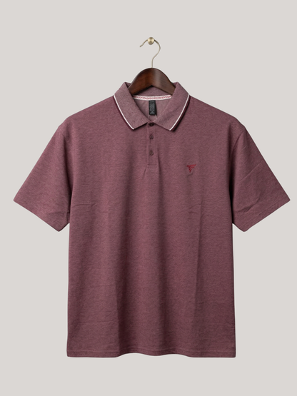 Pack of 3 Bird Eye P.Q Polo Shirt