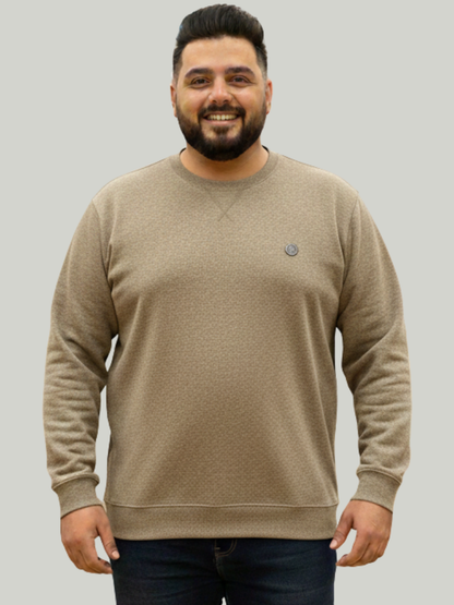 Beige Plain Sweatshirt | Winter edition